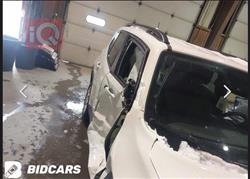 جيب رينيجيد